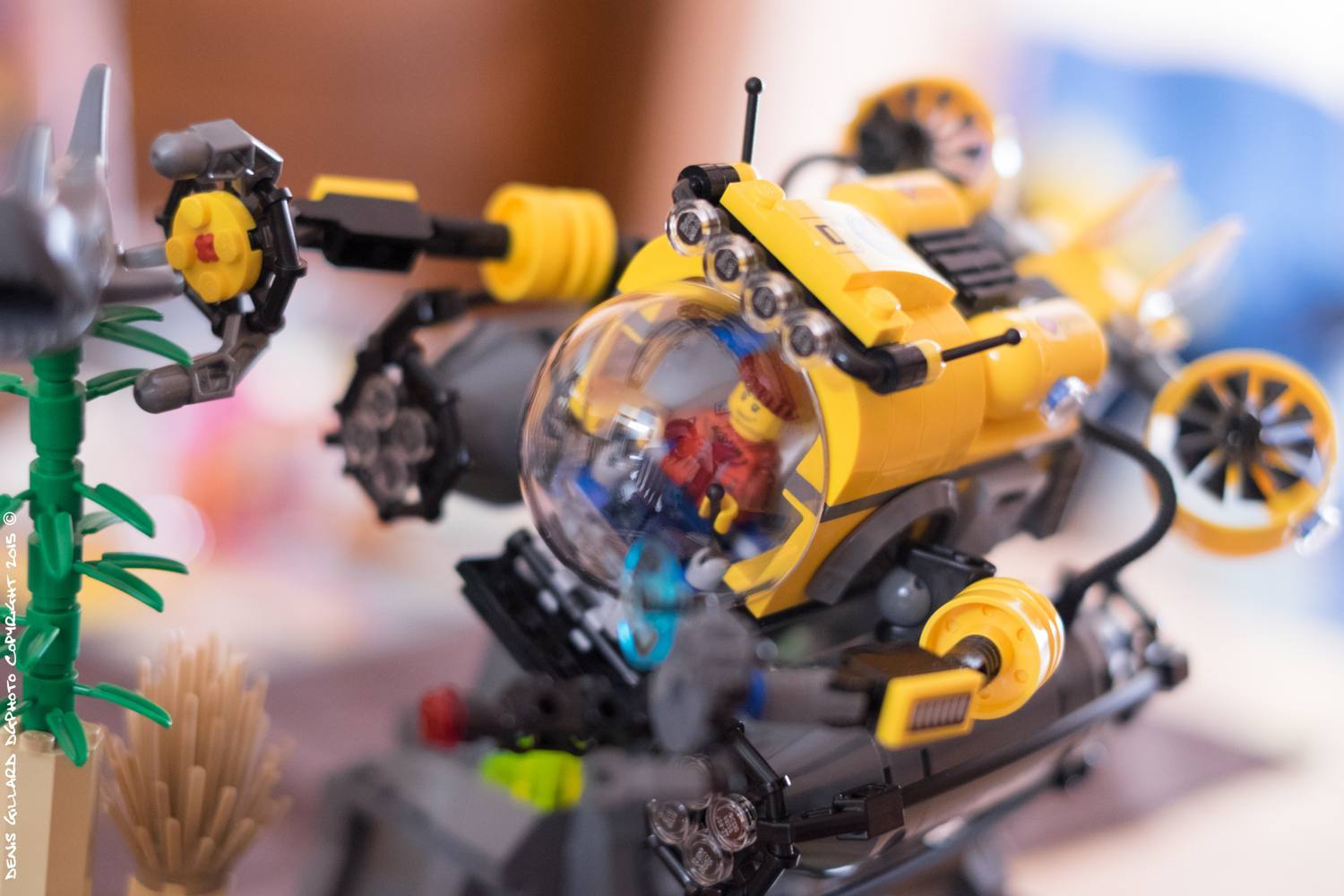 A 4-year-old at the aquarium