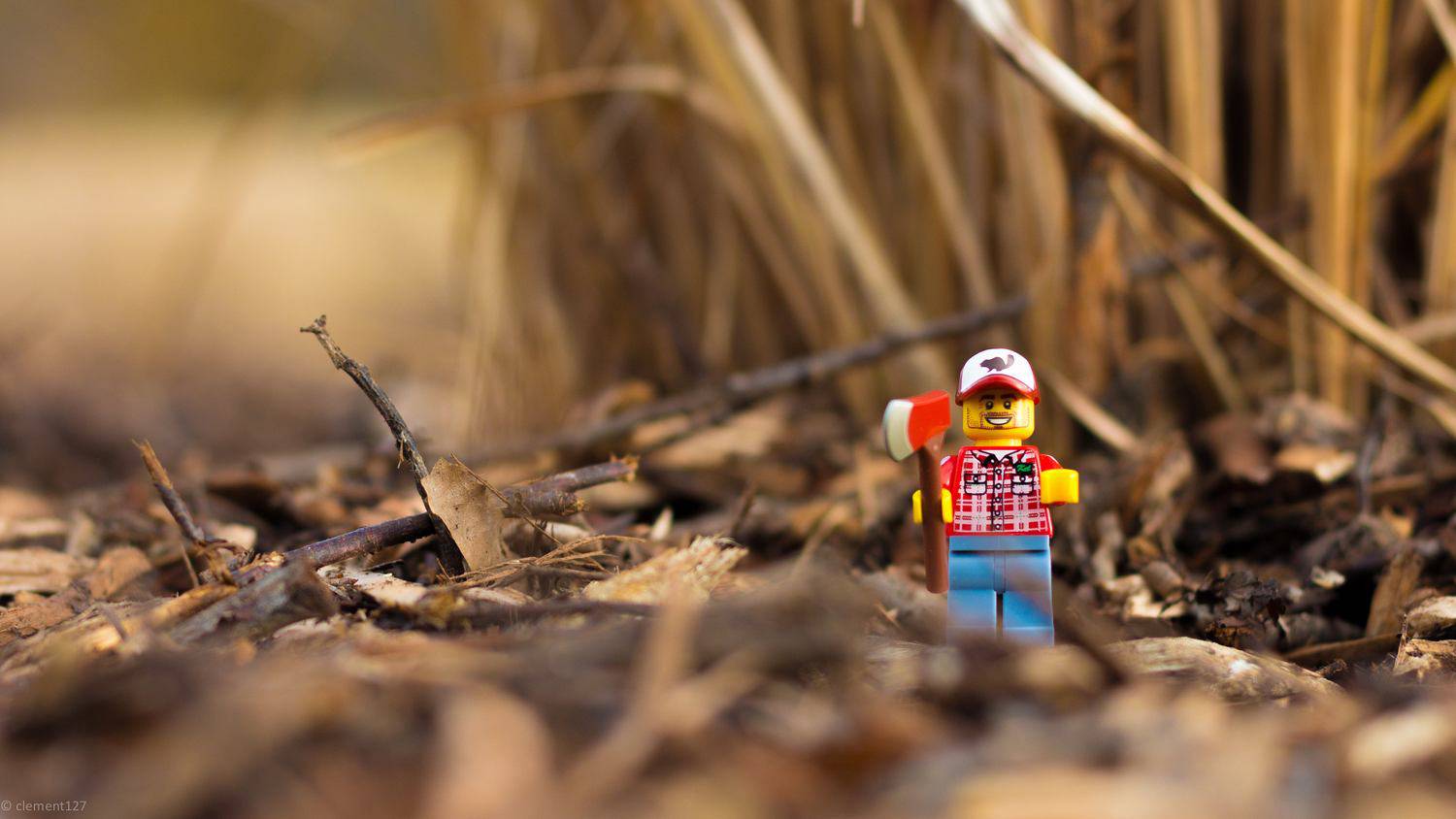 A System to Turn Leads into Clients