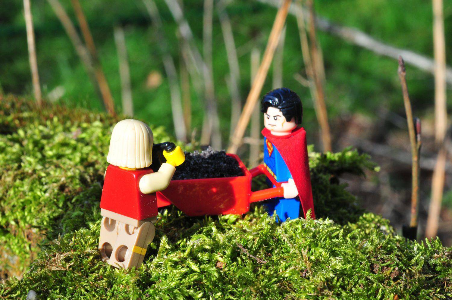 Where You Focus is What Grows