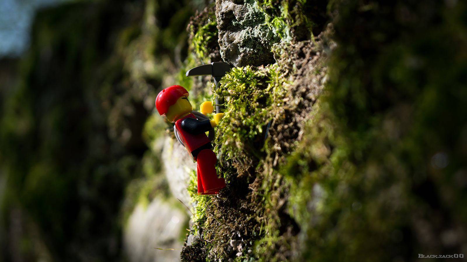 This is WHY I Do Business