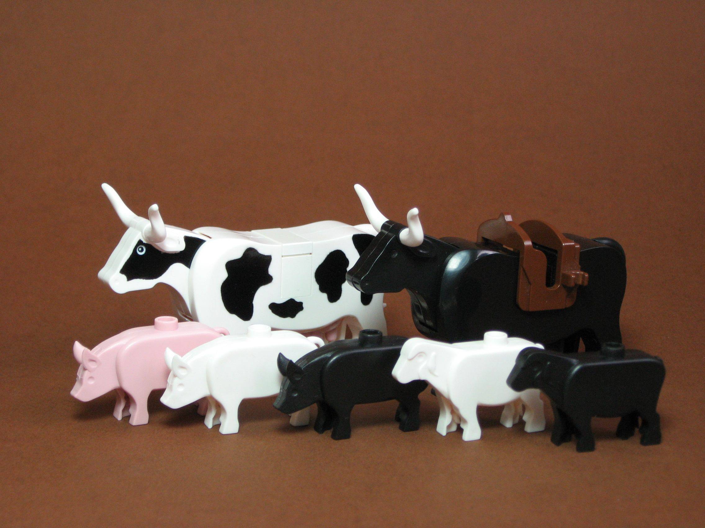 More to Work Than WordPress