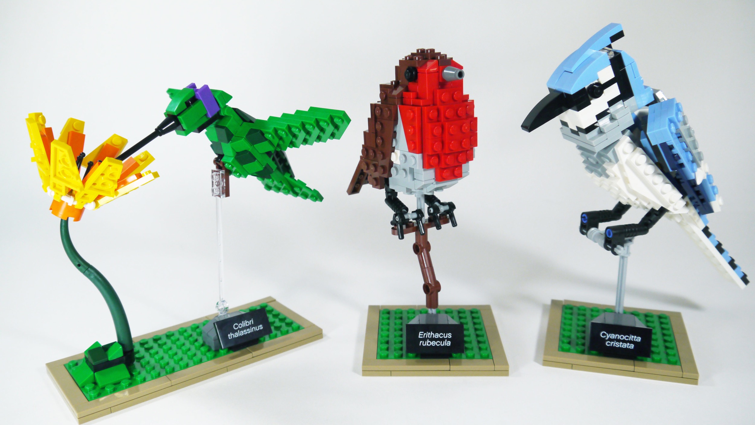 Why The Twitter API Change is Nothing but Good