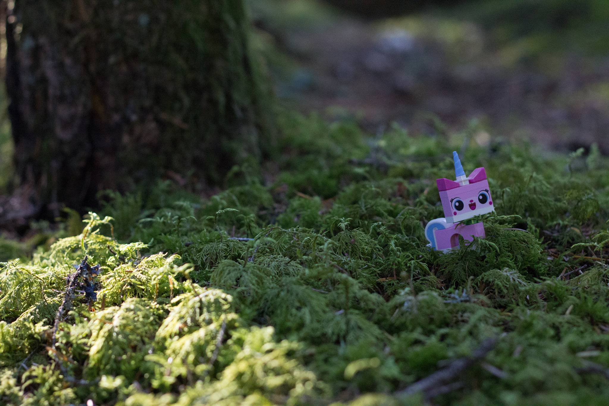 Ryan Holiday's Advice on What it Takes to Build Something that Sells Forever