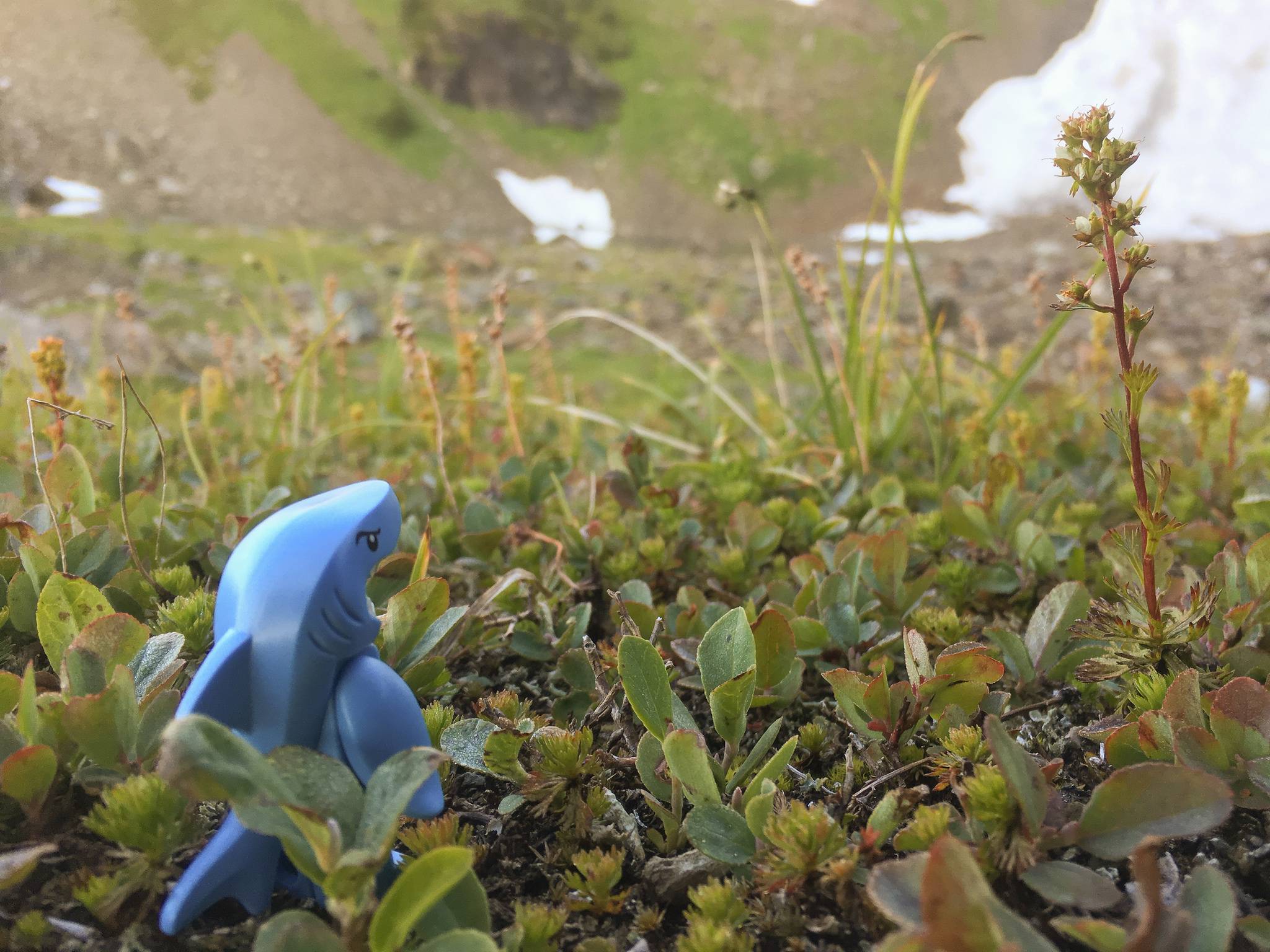 How to Decide What Parts of Your Business to Outsource