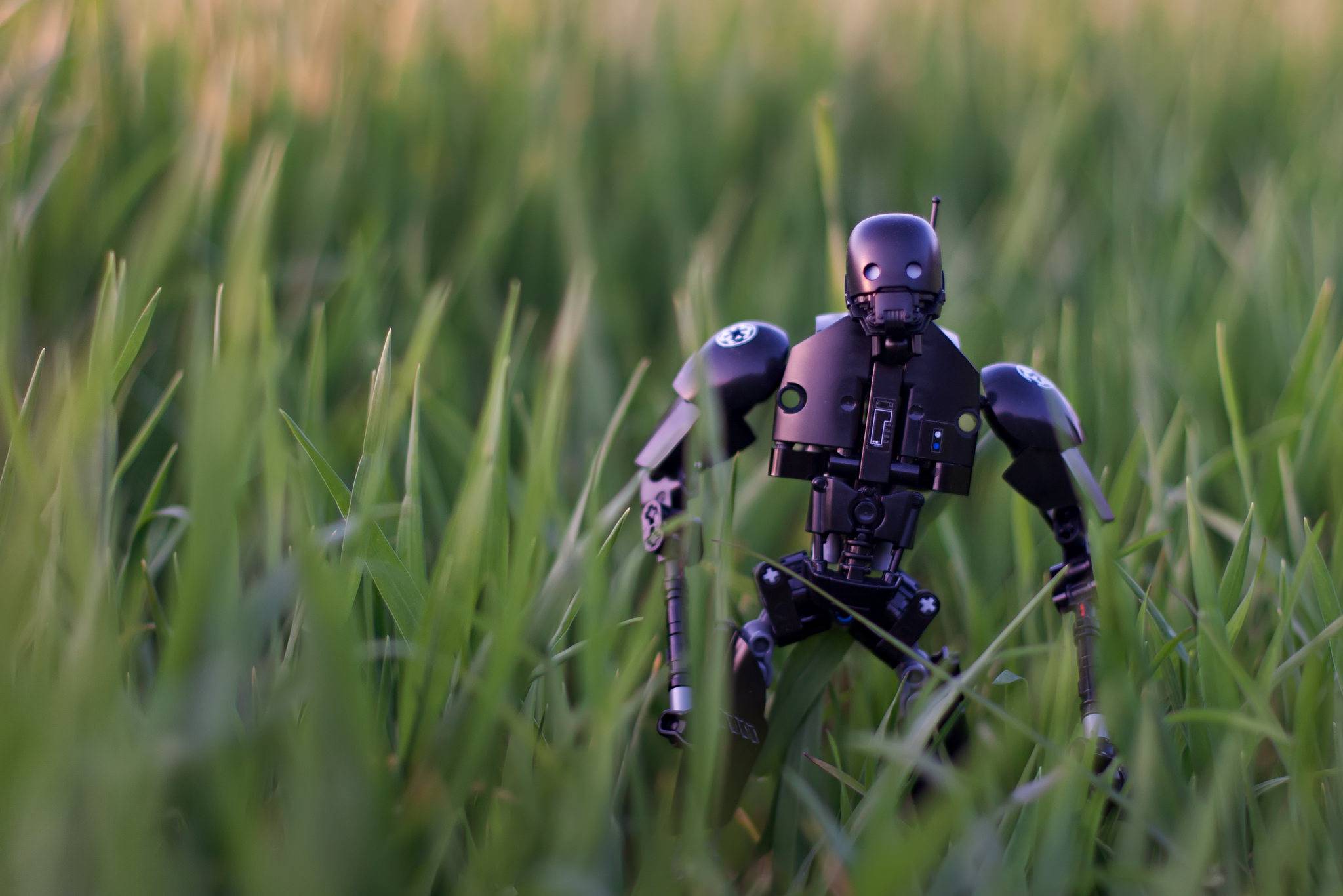 Security in Mediocrity as a WordPress Theme Builder