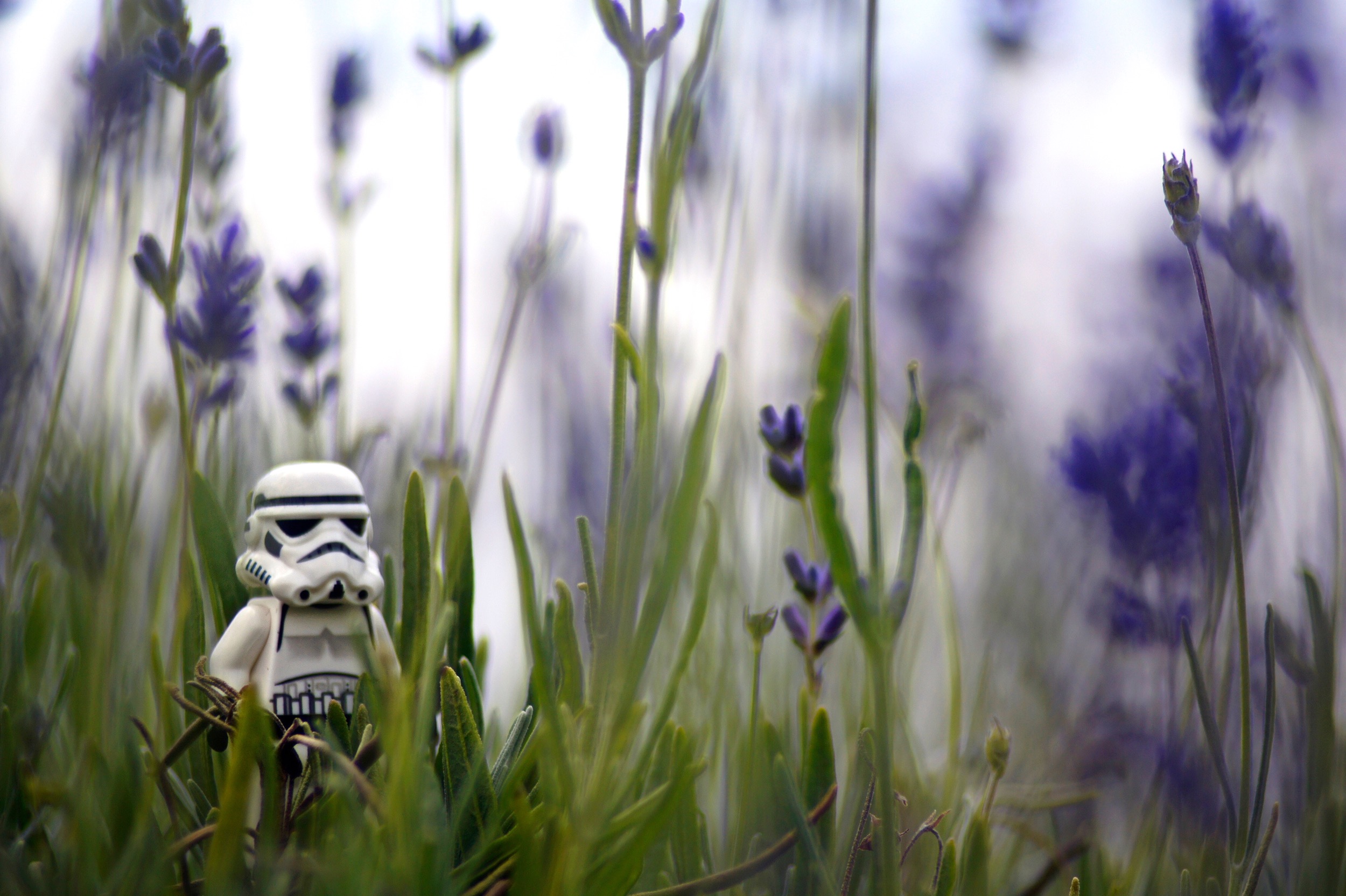 If You Haven’t Planned Where You’re Going You’ll Hate Where You End Up