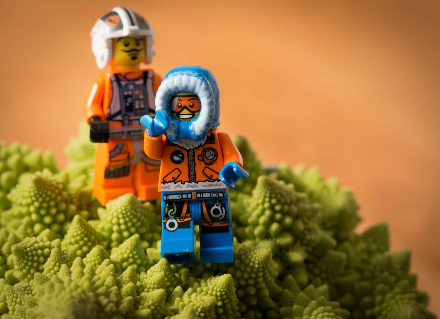 This must be true for your ideal life