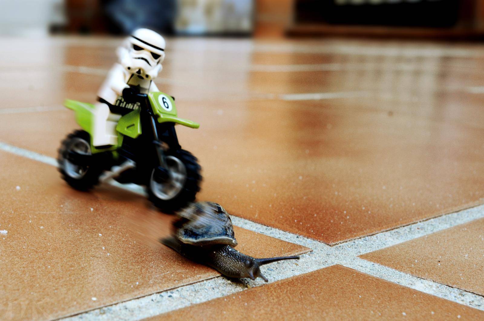 Why do we default to fast?