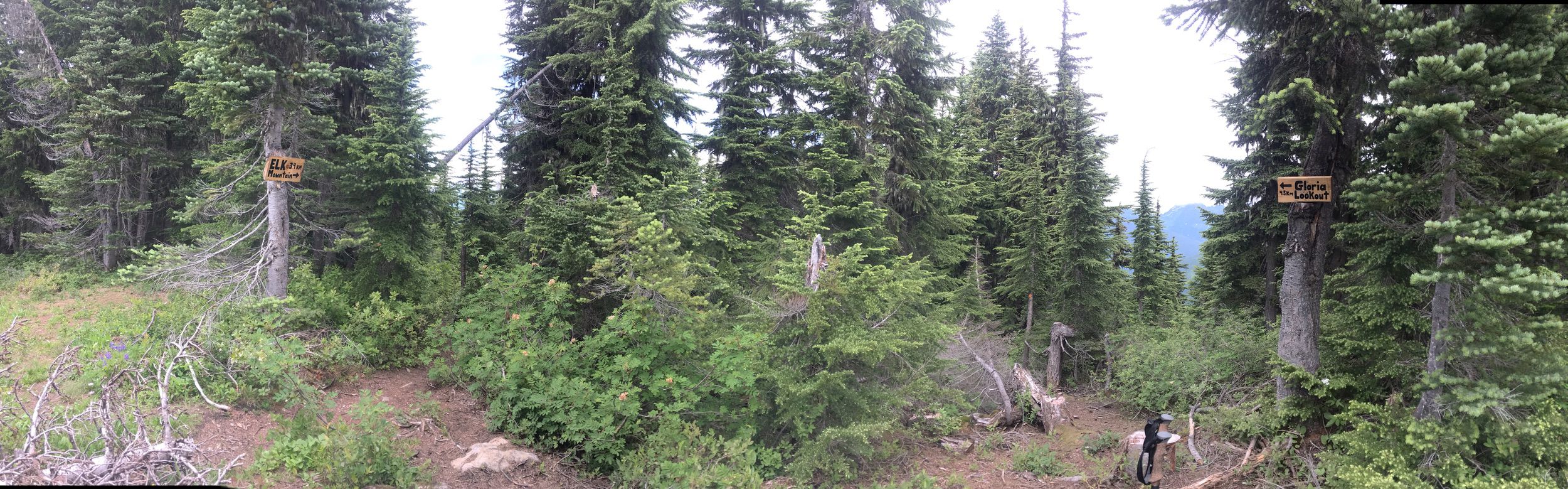 Gloria Lookout to Thurston Connector