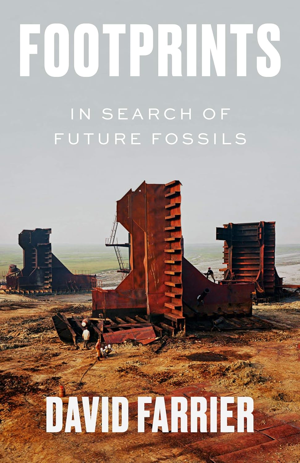 Footprints In Search of Future Fossils - David Farrier