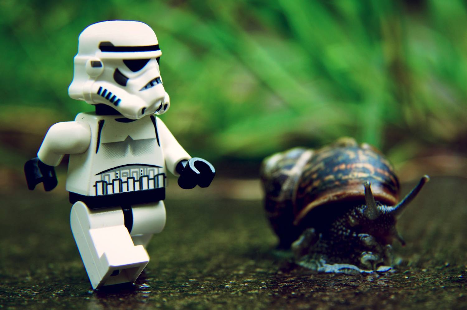 Take Ownership of Problems