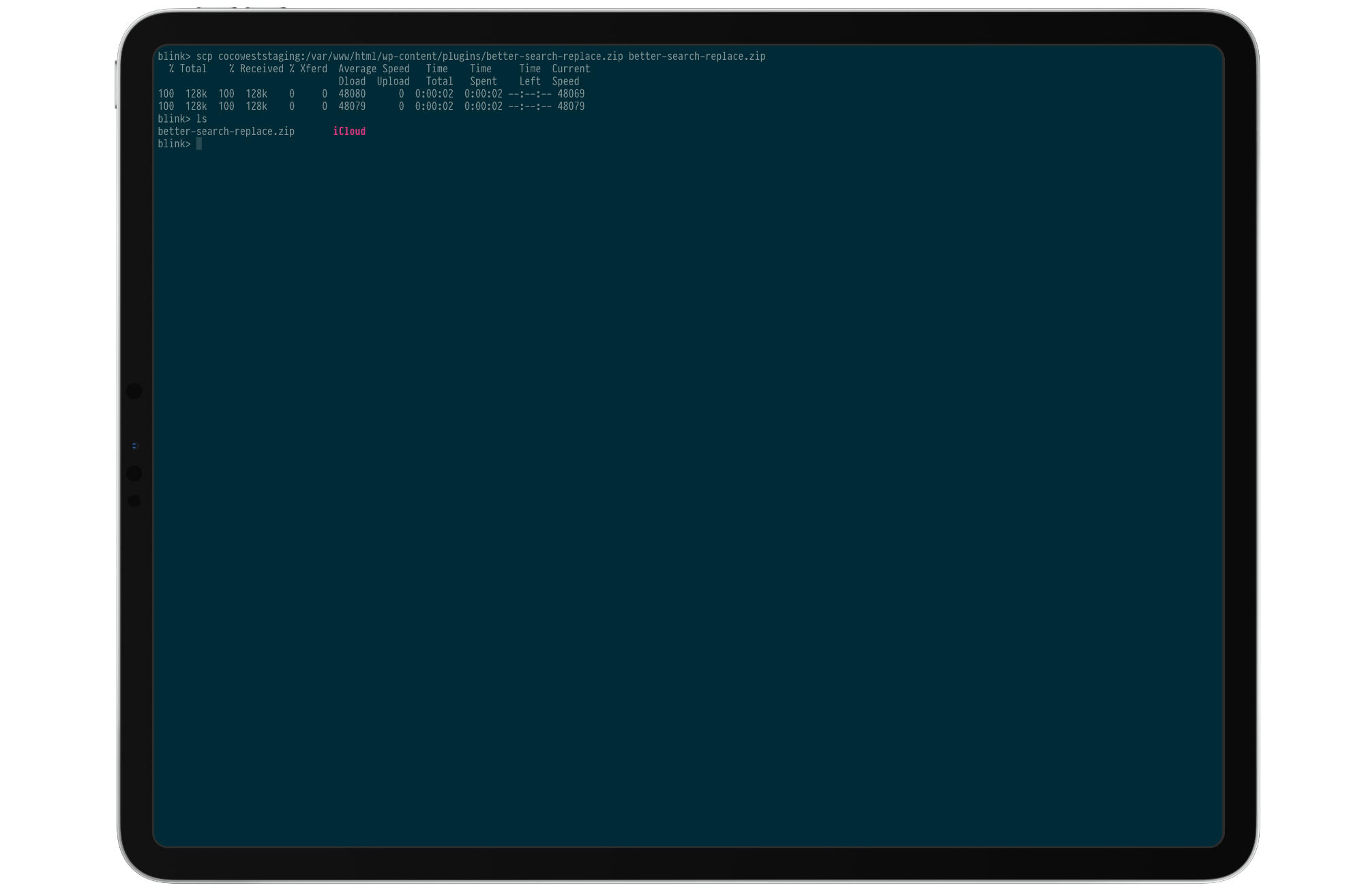 Downloading Files on a Server With Blink Shell on iOS