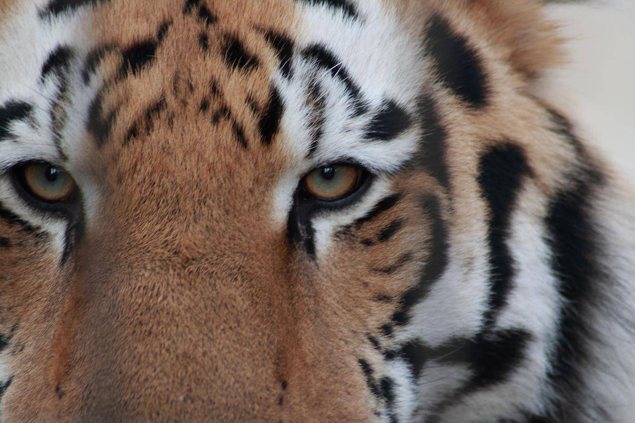 Intentional time during the week