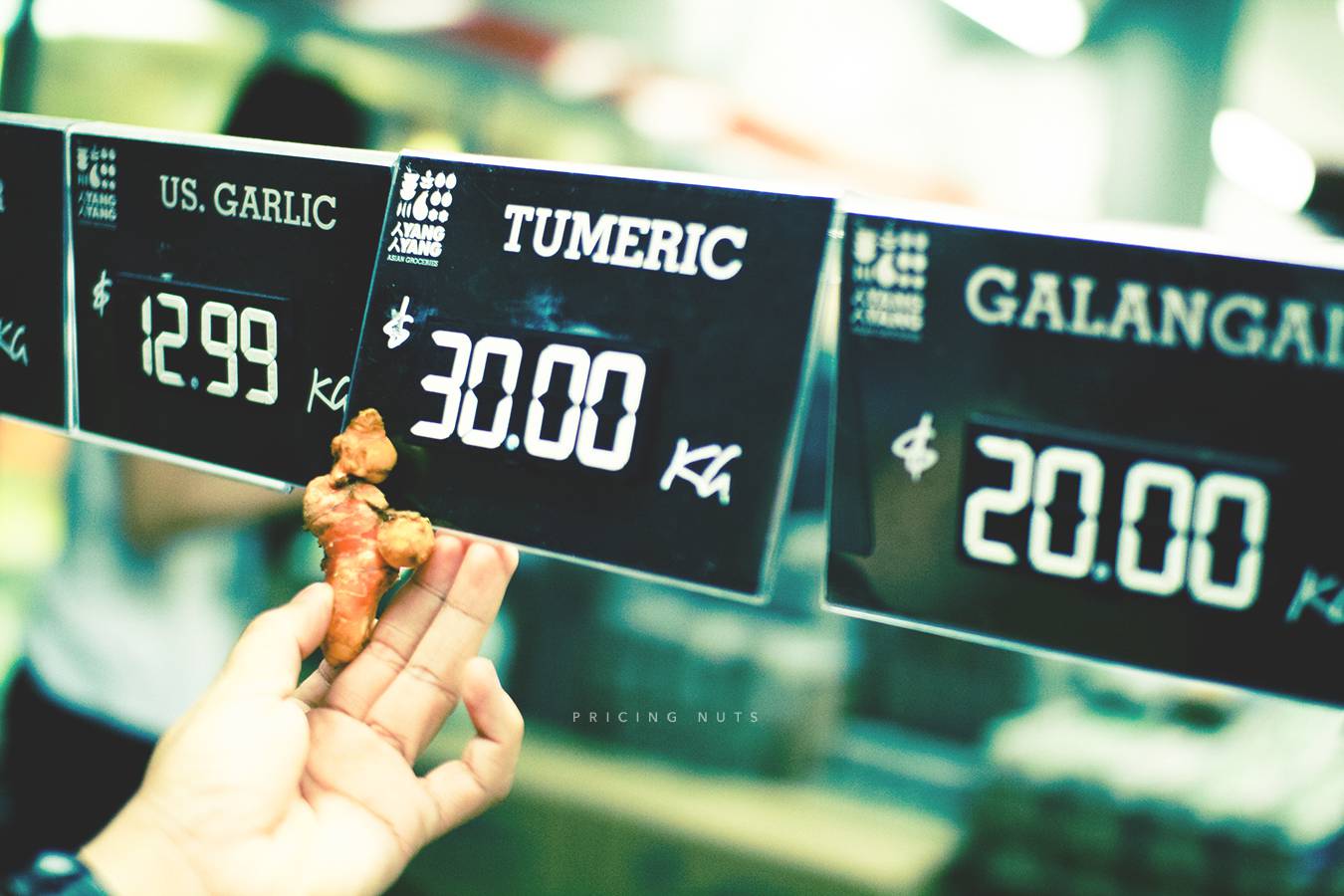 Weekly Pricing for Web Development