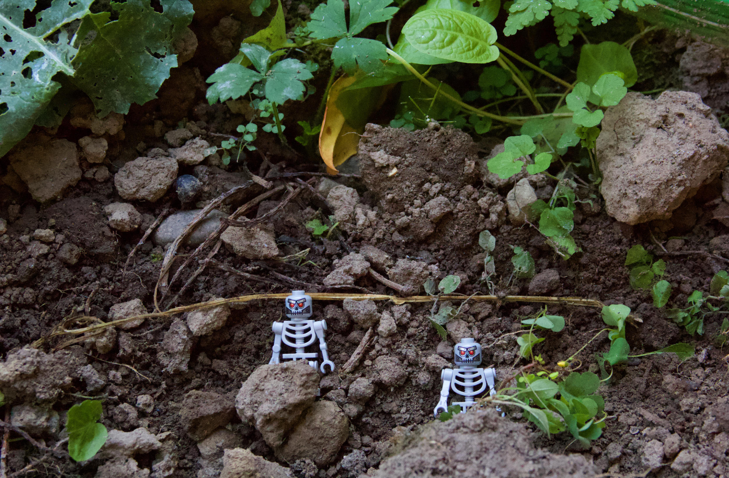 Friday Notes 078 - November 8 2019