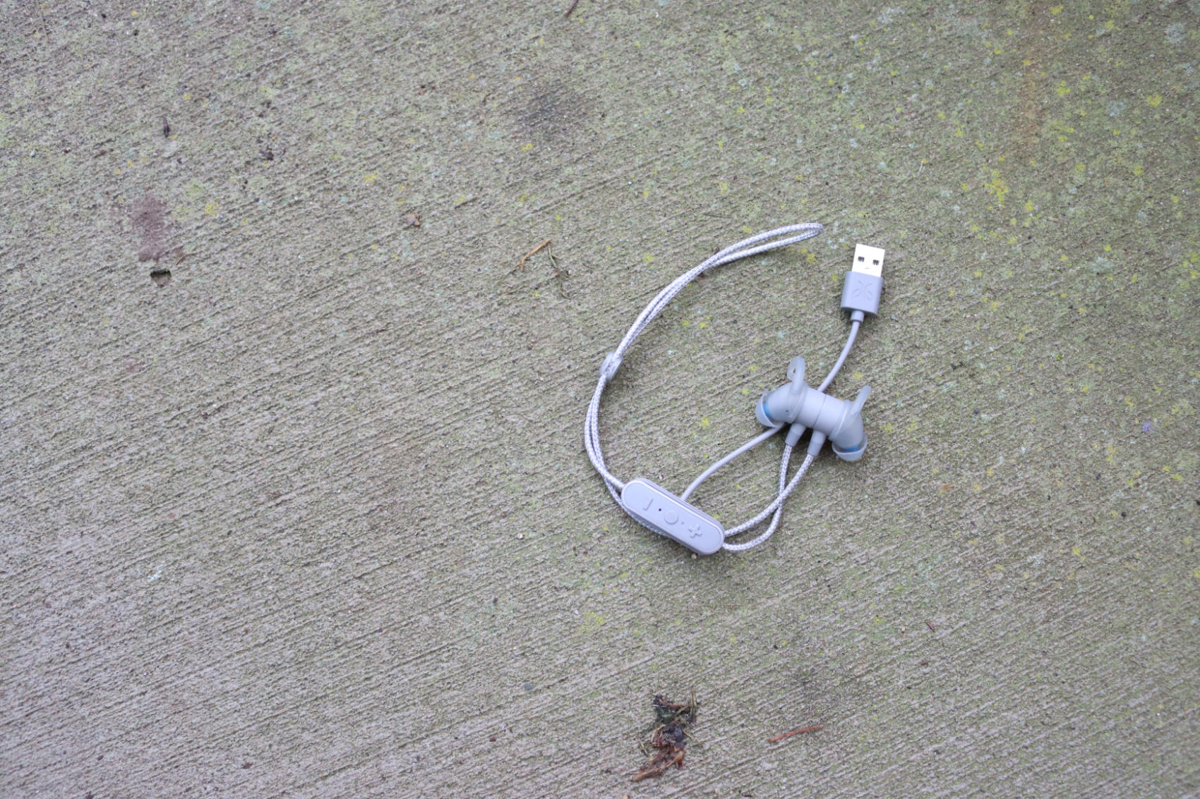 Tarah Pro Headphones by Jaybird - Reviewed