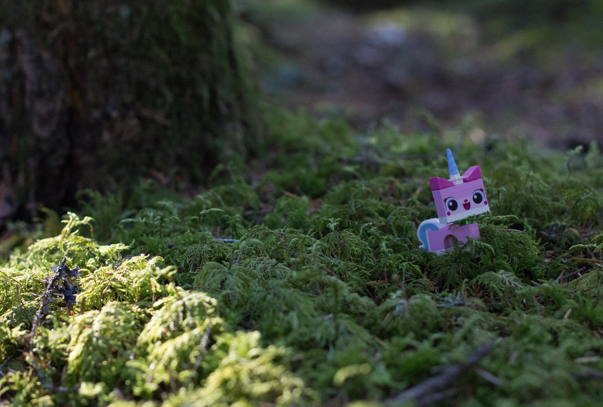 Friday Notes 082 - December 6 2019