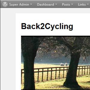 WordPress Admin Bar - A Wicked WordPress Plugin