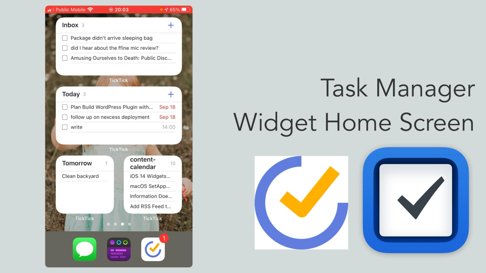 Task Manager iOS 14 Widget Home Screen