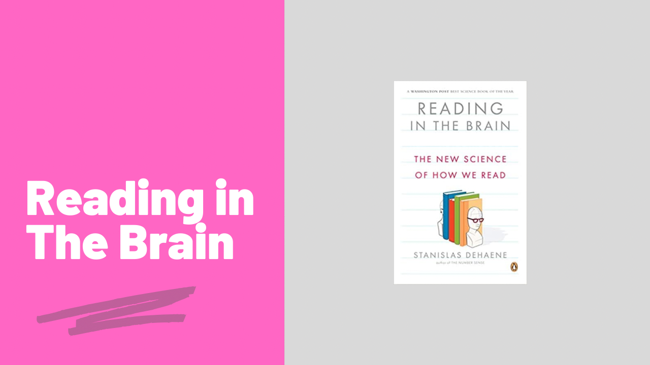 Reading in the Brain by Stanislas Dehaene