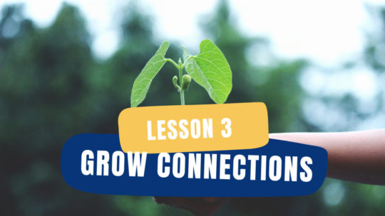 Lesson 3 - Grow Connections